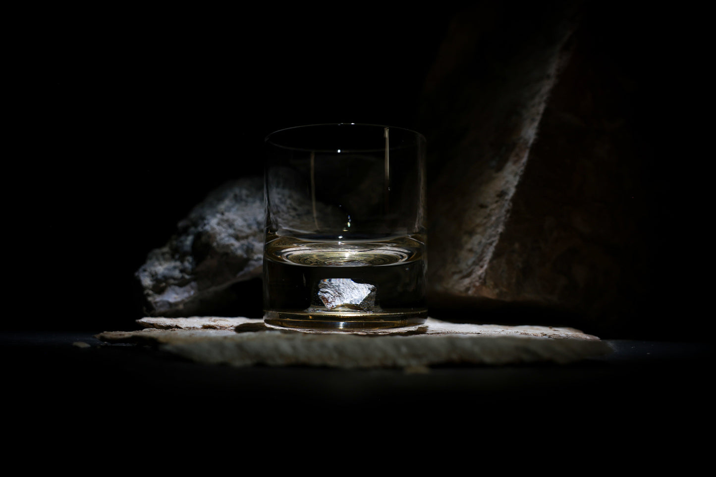 Dinosaur Bone Shard Tumbler (Series I) - Set of 2