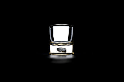 Dinosaur Bone Shard Tumbler (Series I) - Set of 2