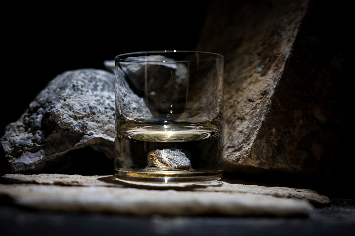 Dinosaur Bone Shard Tumbler (Series I) - Set of 2