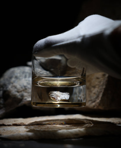 Dinosaur Bone Shard Tumbler (Series I) - Set of 2