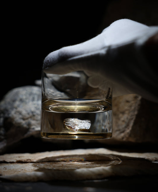 Dinosaur Bone Shard Tumbler (Series I) - Set of 2