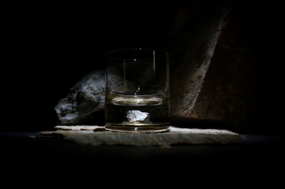Dinosaur Bone Shard Tumbler (Series I) - Set of 2